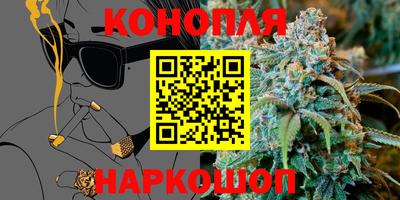 сатива Малгобек