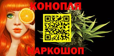 сатива Малгобек